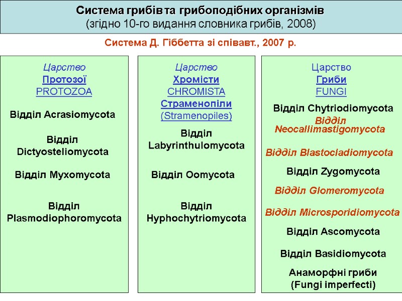 Система грибів та грибоподібних організмів  (згідно 10-го видання словника грибів, 2008) Царство 